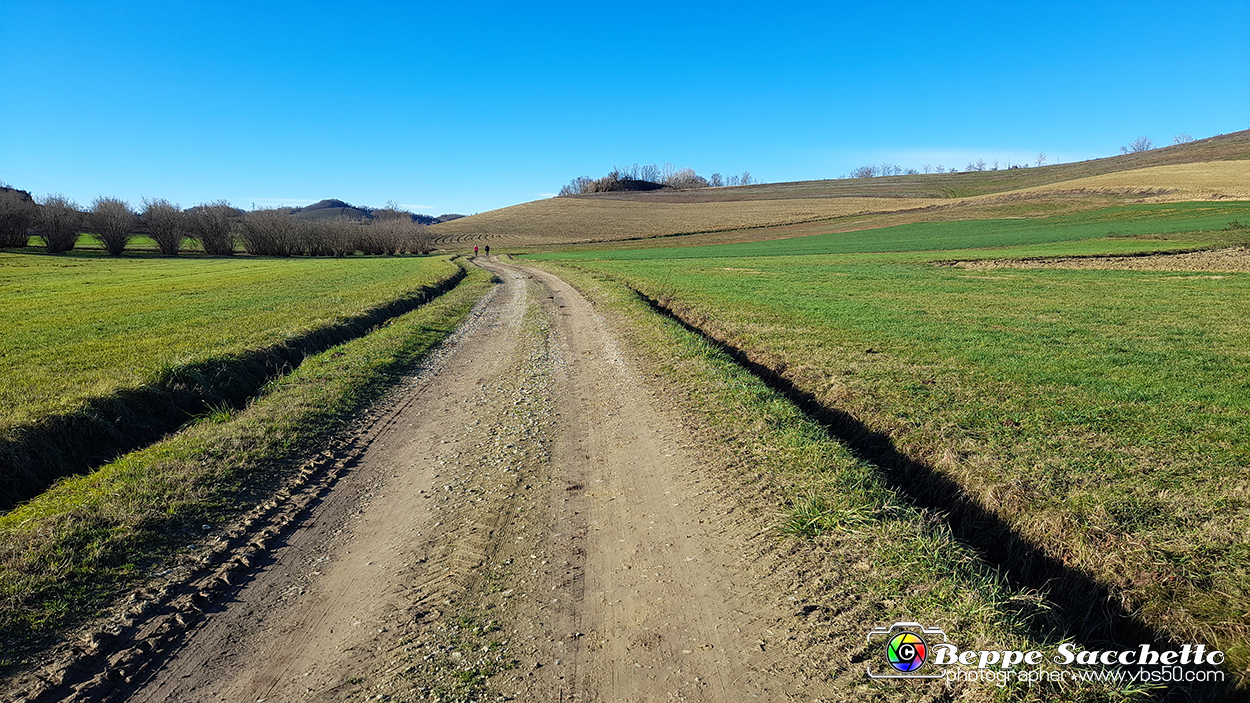 20230110_145241 - Dalla terra... il grano.jpg